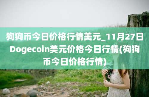 狗狗币今日价格行情美元_11月27日Dogecoin美元价格今日行情(狗狗币今日价格行情)