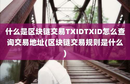 什么是区块链交易TXIDTXID怎么查询交易地址(区块链交易规则是什么)