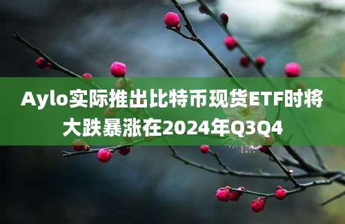 Aylo实际推出比特币现货ETF时将大跌暴涨在2024年Q3Q4