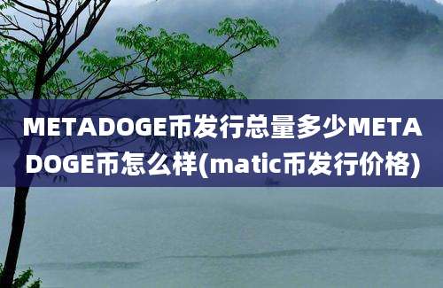 METADOGE币发行总量多少METADOGE币怎么样(matic币发行价格)