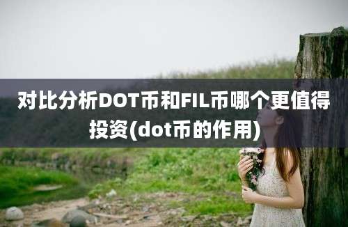 对比分析DOT币和FIL币哪个更值得投资(dot币的作用)