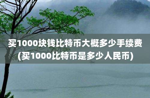 买1000块钱比特币大概多少手续费(买1000比特币是多少人民币)