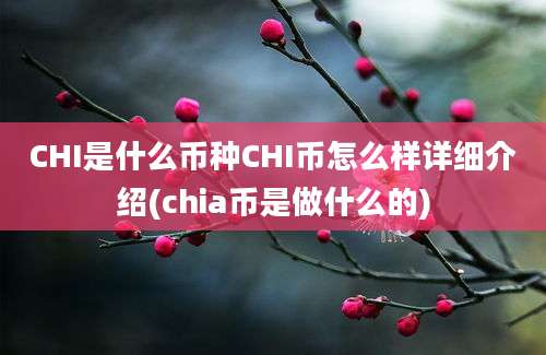 CHI是什么币种CHI币怎么样详细介绍(chia币是做什么的)