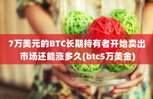 7万美元的BTC长期持有者开始卖出 市场还能涨多久(btc5万美金)