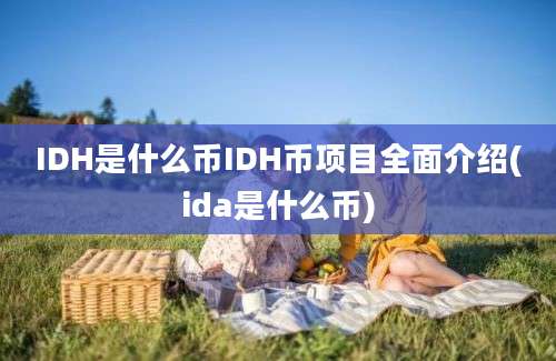 IDH是什么币IDH币项目全面介绍(ida是什么币)