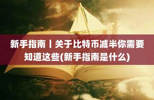 新手指南丨关于比特币减半你需要知道这些(新手指南是什么)