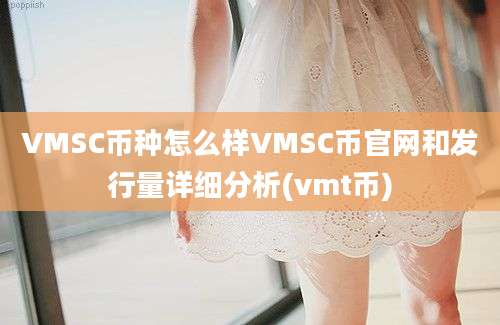 VMSC币种怎么样VMSC币官网和发行量详细分析(vmt币)