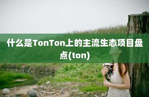 什么是TonTon上的主流生态项目盘点(ton)