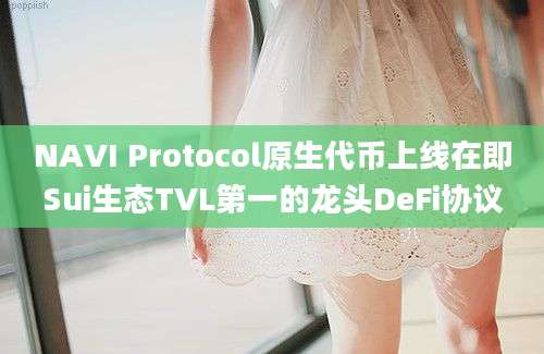 NAVI Protocol原生代币上线在即Sui生态TVL第一的龙头DeFi协议