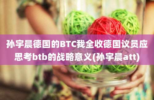 孙宇晨德国的BTC我全收德国议员应思考btb的战略意义(孙宇晨att)