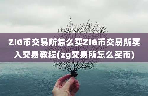 ZIG币交易所怎么买ZIG币交易所买入交易教程(zg交易所怎么买币)