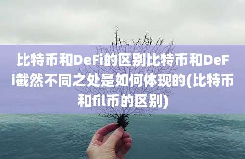 比特币和DeFi的区别比特币和DeFi截然不同之处是如何体现的(比特币和fil币的区别)