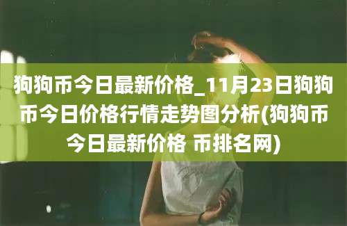 狗狗币今日最新价格_11月23日狗狗币今日价格行情走势图分析(狗狗币今日最新价格 币排名网)