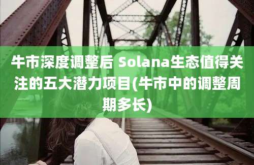 牛市深度调整后 Solana生态值得关注的五大潜力项目(牛市中的调整周期多长)