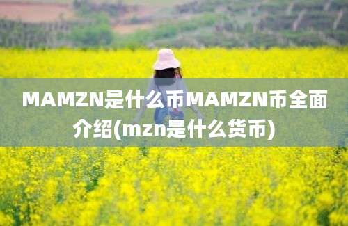 MAMZN是什么币MAMZN币全面介绍(mzn是什么货币)