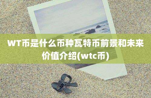 WT币是什么币种瓦特币前景和未来价值介绍(wtc币)