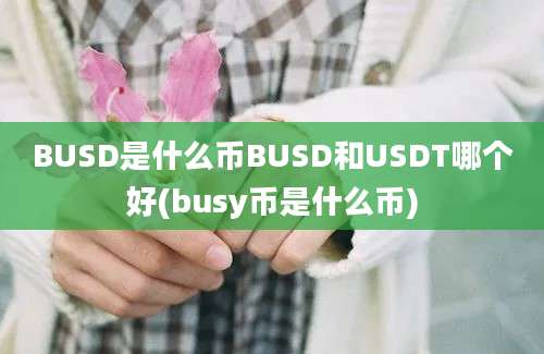 BUSD是什么币BUSD和USDT哪个好(busy币是什么币)