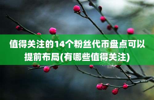 值得关注的14个粉丝代币盘点可以提前布局(有哪些值得关注)