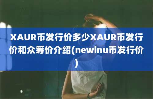 XAUR币发行价多少XAUR币发行价和众筹价介绍(newinu币发行价)