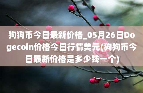 狗狗币今日最新价格_05月26日Dogecoin价格今日行情美元(狗狗币今日最新价格是多少钱一个)