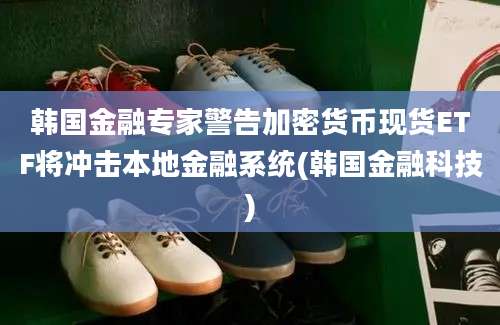 韩国金融专家警告加密货币现货ETF将冲击本地金融系统(韩国金融科技)