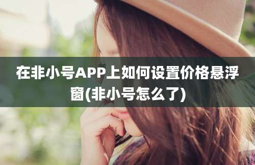 在非小号APP上如何设置价格悬浮窗(非小号怎么了)