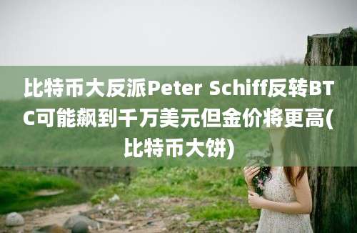 比特币大反派Peter Schiff反转BTC可能飙到千万美元但金价将更高(比特币大饼)