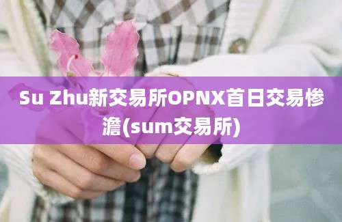 Su Zhu新交易所OPNX首日交易惨澹(sum交易所)