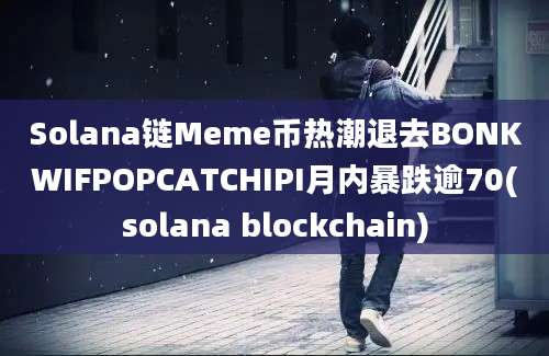 Solana链Meme币热潮退去BONKWIFPOPCATCHIPI月内暴跌逾70(solana blockchain)