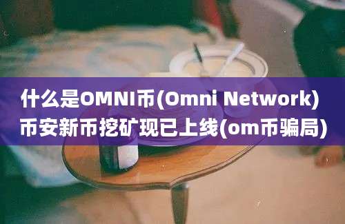 什么是OMNI币(Omni Network) 币安新币挖矿现已上线(om币骗局)