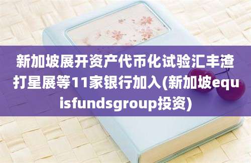 新加坡展开资产代币化试验汇丰渣打星展等11家银行加入(新加坡equisfundsgroup投资)