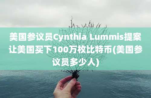 美国参议员Cynthia Lummis提案让美国买下100万枚比特币(美国参议员多少人)