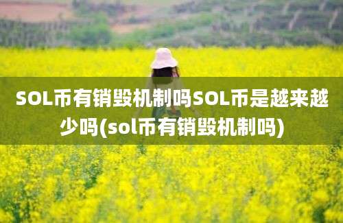 SOL币有销毁机制吗SOL币是越来越少吗(sol币有销毁机制吗)