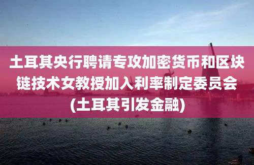 土耳其央行聘请专攻加密货币和区块链技术女教授加入利率制定委员会(土耳其引发金融)