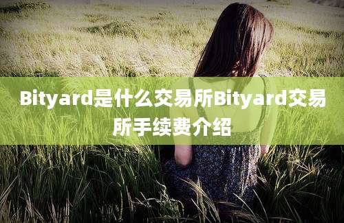 Bityard是什么交易所Bityard交易所手续费介绍