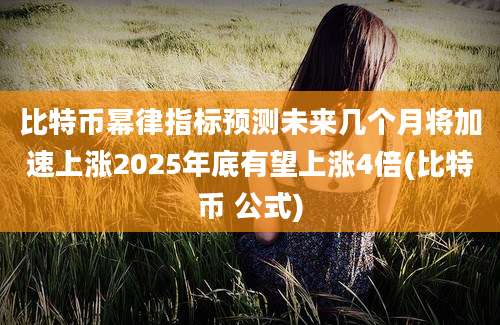 比特币幂律指标预测未来几个月将加速上涨2025年底有望上涨4倍(比特币 公式)