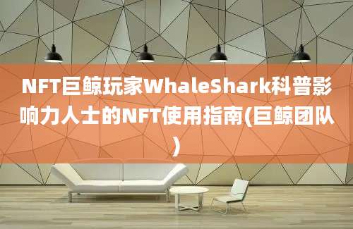 NFT巨鲸玩家WhaleShark科普影响力人士的NFT使用指南(巨鲸团队)