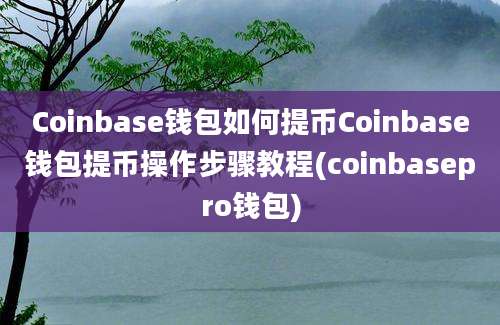 Coinbase钱包如何提币Coinbase钱包提币操作步骤教程(coinbasepro钱包)