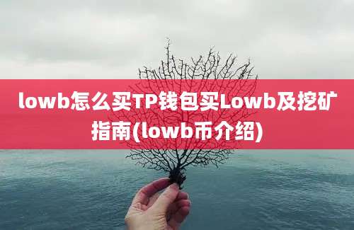 lowb怎么买TP钱包买Lowb及挖矿指南(lowb币介绍)