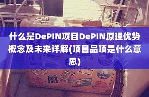 什么是DePIN项目DePIN原理优势概念及未来详解(项目品项是什么意思)