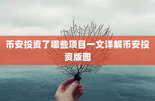 币安投资了哪些项目一文详解币安投资版图