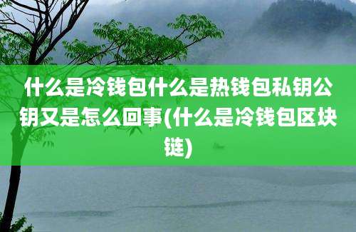 什么是冷钱包什么是热钱包私钥公钥又是怎么回事(什么是冷钱包区块链)