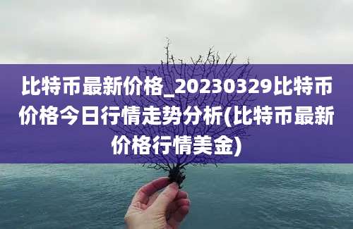 比特币最新价格_20230329比特币价格今日行情走势分析(比特币最新价格行情美金)