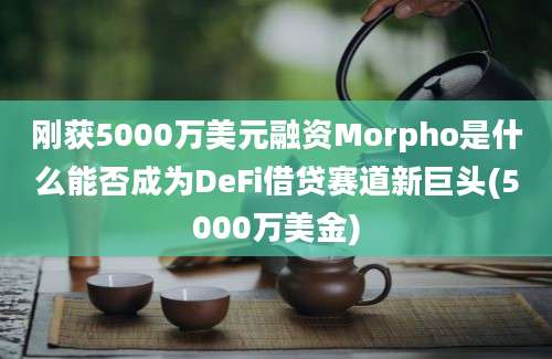 刚获5000万美元融资Morpho是什么能否成为DeFi借贷赛道新巨头(5000万美金)