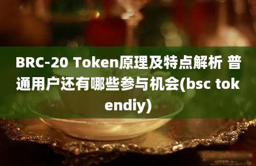 BRC-20 Token原理及特点解析 普通用户还有哪些参与机会(bsc tokendiy)