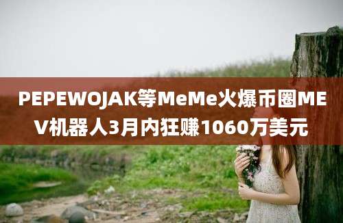 PEPEWOJAK等MeMe火爆币圈MEV机器人3月内狂赚1060万美元