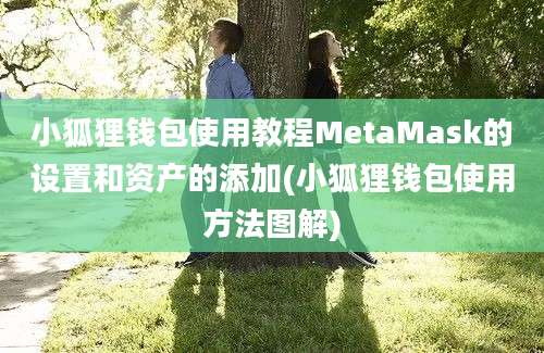 小狐狸钱包使用教程MetaMask的设置和资产的添加(小狐狸钱包使用方法图解)