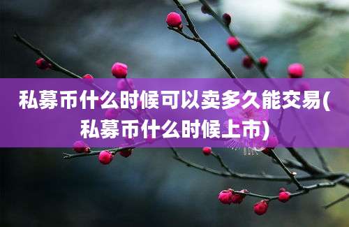 私募币什么时候可以卖多久能交易(私募币什么时候上市)