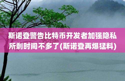 斯诺登警告比特币开发者加强隐私所剩时间不多了(斯诺登再爆猛料)