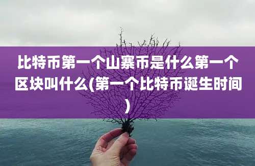 比特币第一个山寨币是什么第一个区块叫什么(第一个比特币诞生时间)